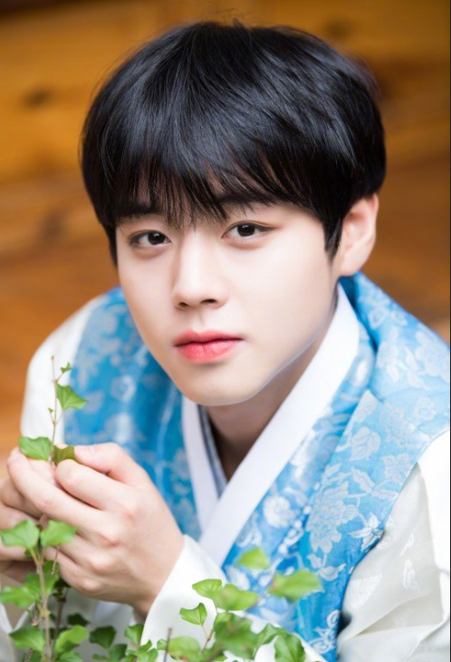 穿着韩服的俊秀男子朴志训高清照片 韩国男明星 2