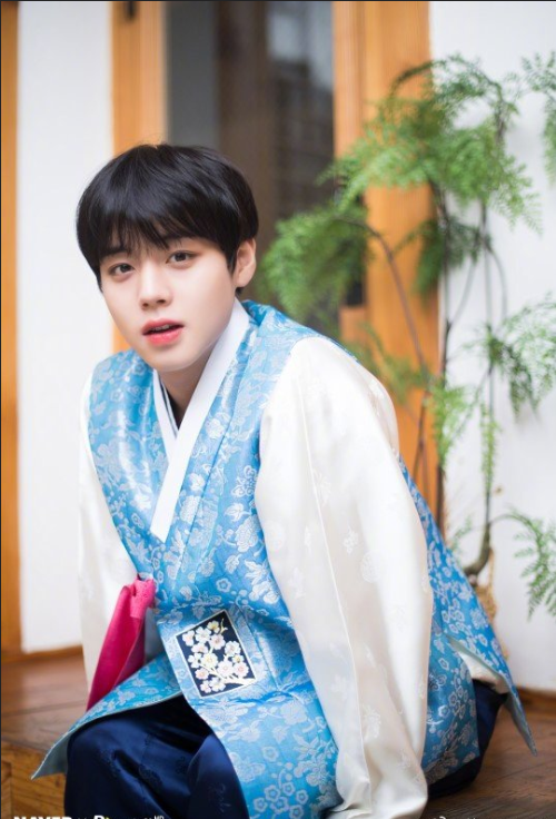 穿着韩服的俊秀男子朴志训高清照片 韩国男明星 6