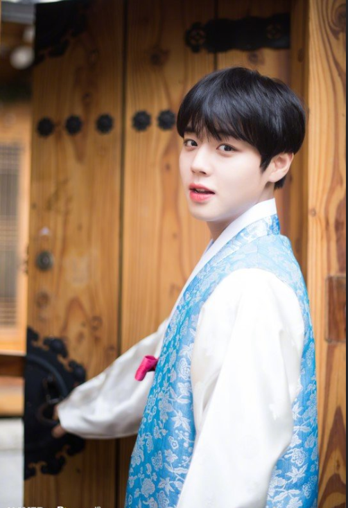穿着韩服的俊秀男子朴志训高清照片 韩国男明星 8