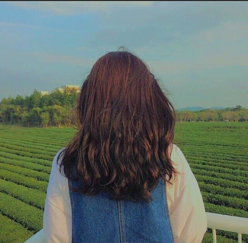 女生背影头像图片 微信头像女图片 2