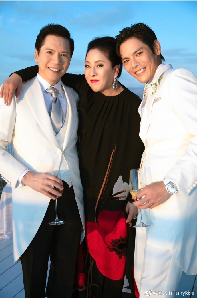 港台明星夫妻向佐郭碧婷婚纱照片 向佐郭碧婷婚 4