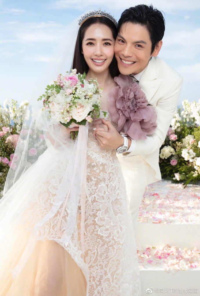 港台明星夫妻向佐郭碧婷婚纱照片 向佐郭碧婷婚 6