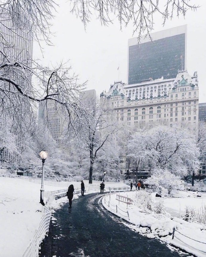 冬日雪景图片大全 雪白的雪景照片