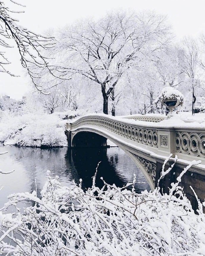 冬日雪景图片大全 雪白的雪景照片 4