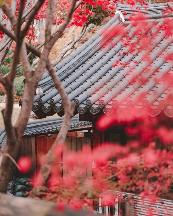 唯美秋天的景色图片  秋天的落叶图片 8
