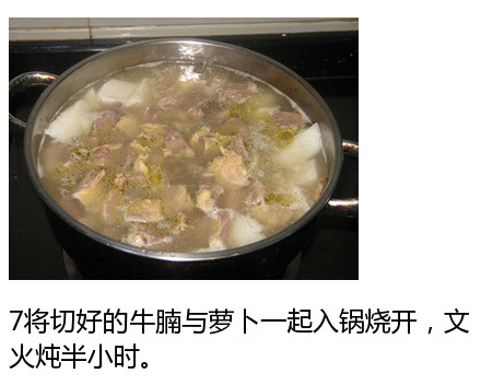清甜可口的萝卜牛腩的做法 8