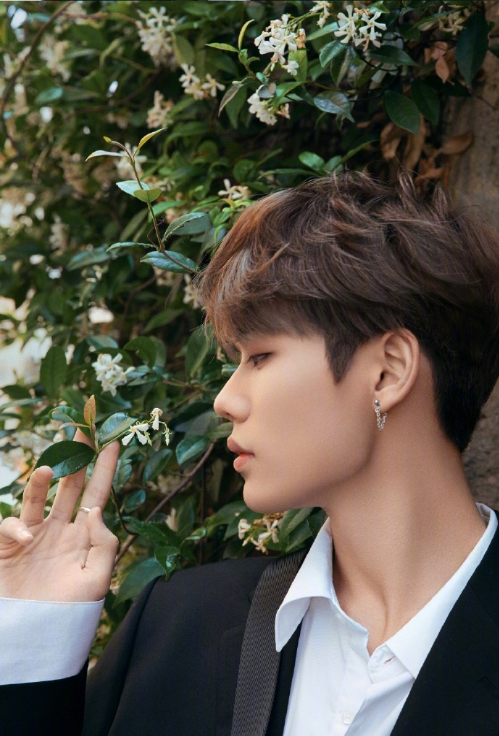 90后男明星小狼狗林彦俊韩系美少年图片 10