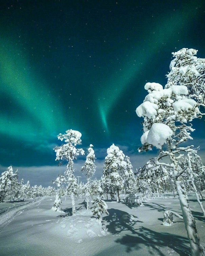 芬兰旅游大雪纷飞梦幻的雪白世界图片 5