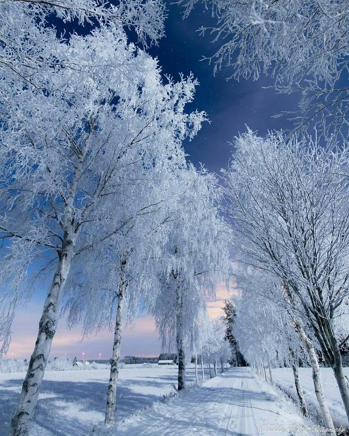 芬兰旅游大雪纷飞梦幻的雪白世界图片 10
