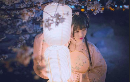 古装美女图片 春樱落尽阶前月 何处清梦归楼台 3