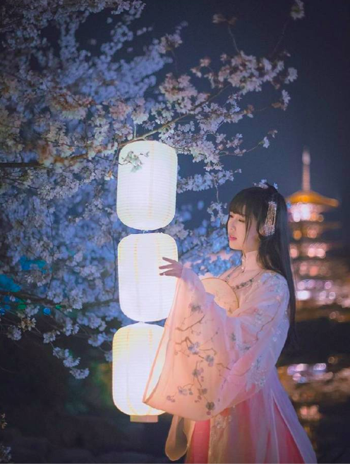 古装美女图片 春樱落尽阶前月 何处清梦归楼台 6