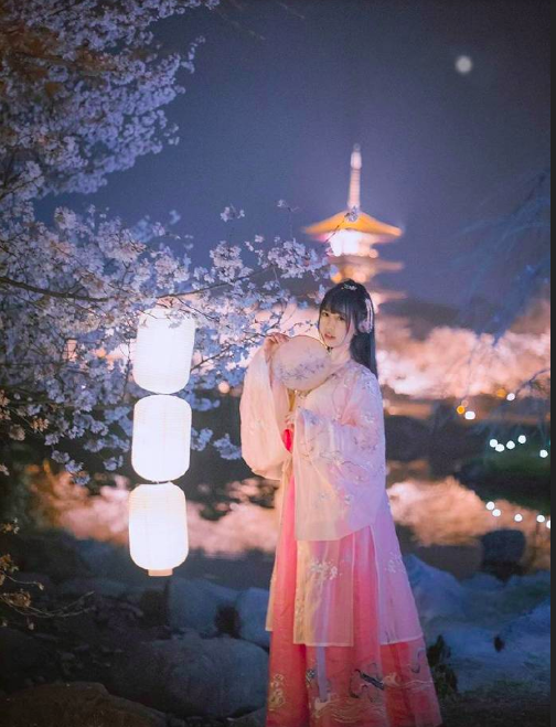 古装美女图片 春樱落尽阶前月 何处清梦归楼台 8