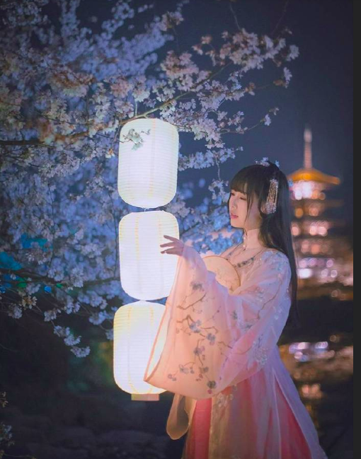 古装美女图片 春樱落尽阶前月 何处清梦归楼台 12