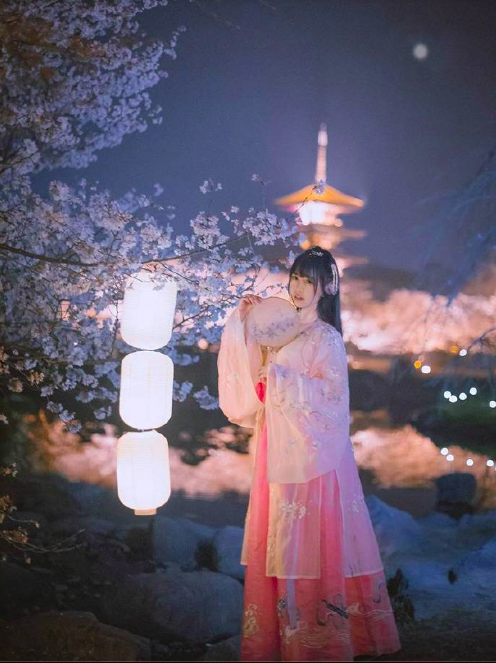 古装美女图片 春樱落尽阶前月 何处清梦归楼台 14