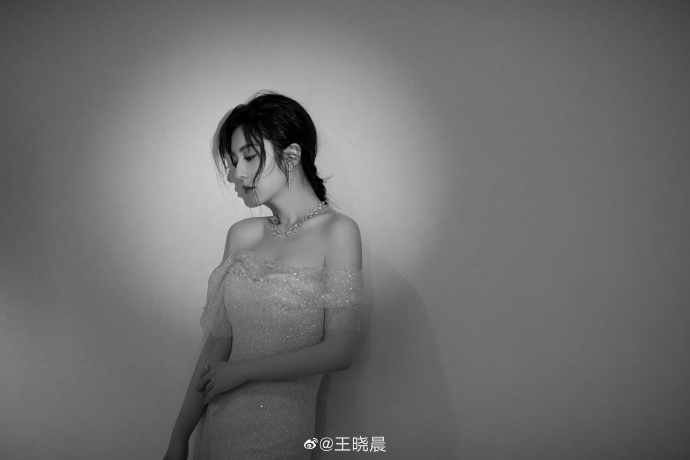中国美女最佳女演员王晓晨图片 10