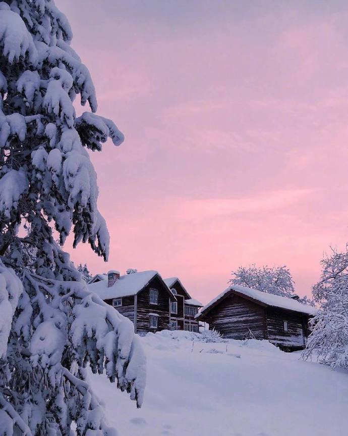 雪地里的黄昏自然风景图片 8
