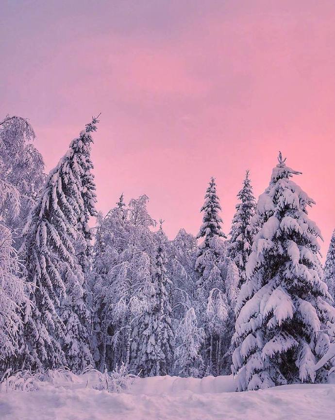 雪地里的黄昏自然风景图片 9