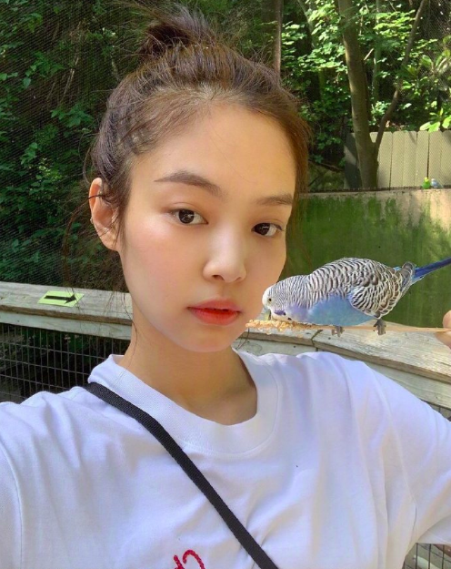 95后日韩美女明星blackpinkJennie金智妮迷人图片 2
