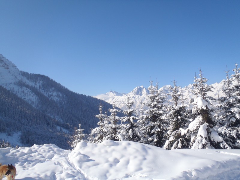 冬日里的皑皑白雪风景图片 4