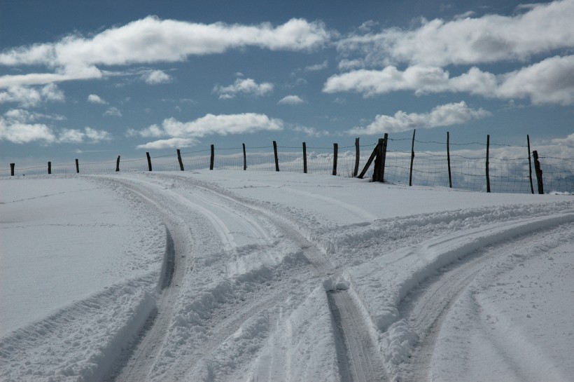 冬日里的皑皑白雪风景图片 5