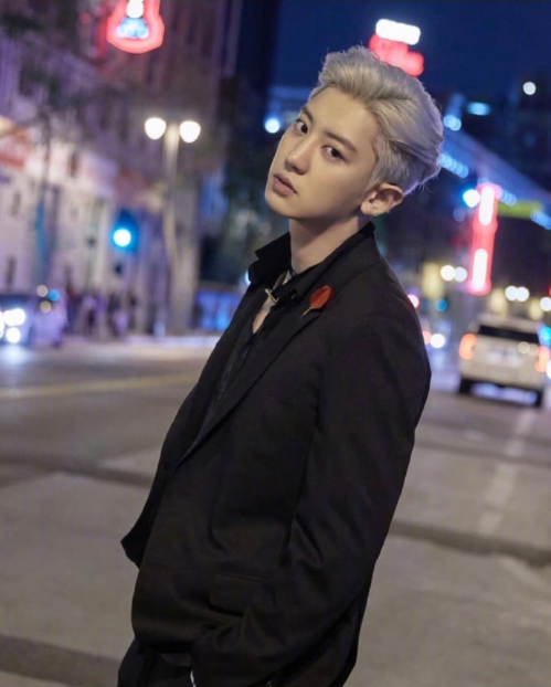 韩国男团exo成员朴灿烈银发帅气写真图片 6