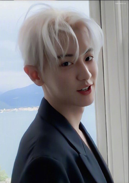 韩国男团exo成员朴灿烈银发帅气写真图片 13