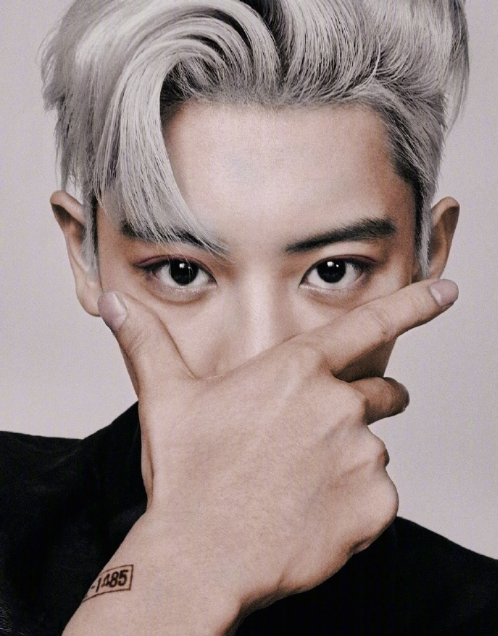 韩国男团exo成员朴灿烈银发帅气写真图片 14