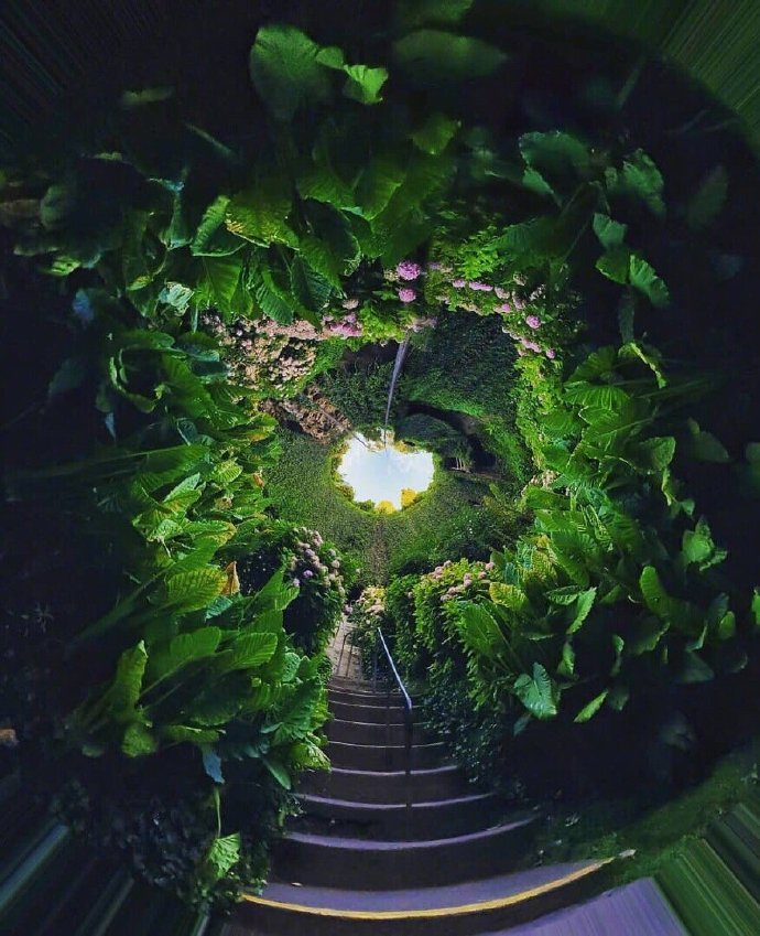 澳大利亚神奇的洞穴花园风景图片 3