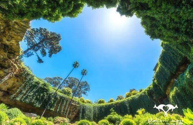 澳大利亚神奇的洞穴花园风景图片 5
