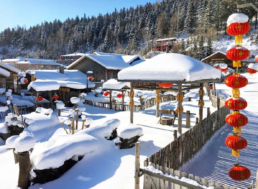 雪白纯净的世界中国雪乡风景图片 2