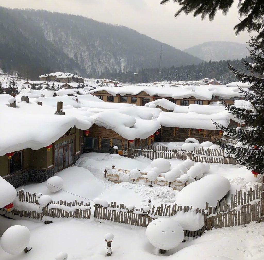 雪白纯净的世界中国雪乡风景图片 4