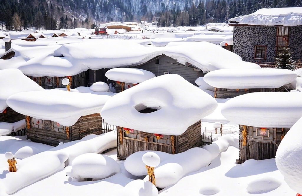 雪白纯净的世界中国雪乡风景图片 7