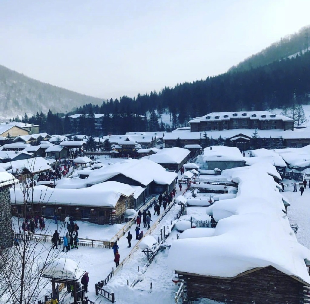 雪白纯净的世界中国雪乡风景图片 8