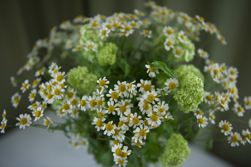 漂亮的鲜花花束图片 11