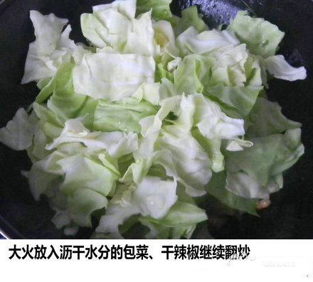 麻辣鲜香的家常菜食谱手撕包菜的做法 6