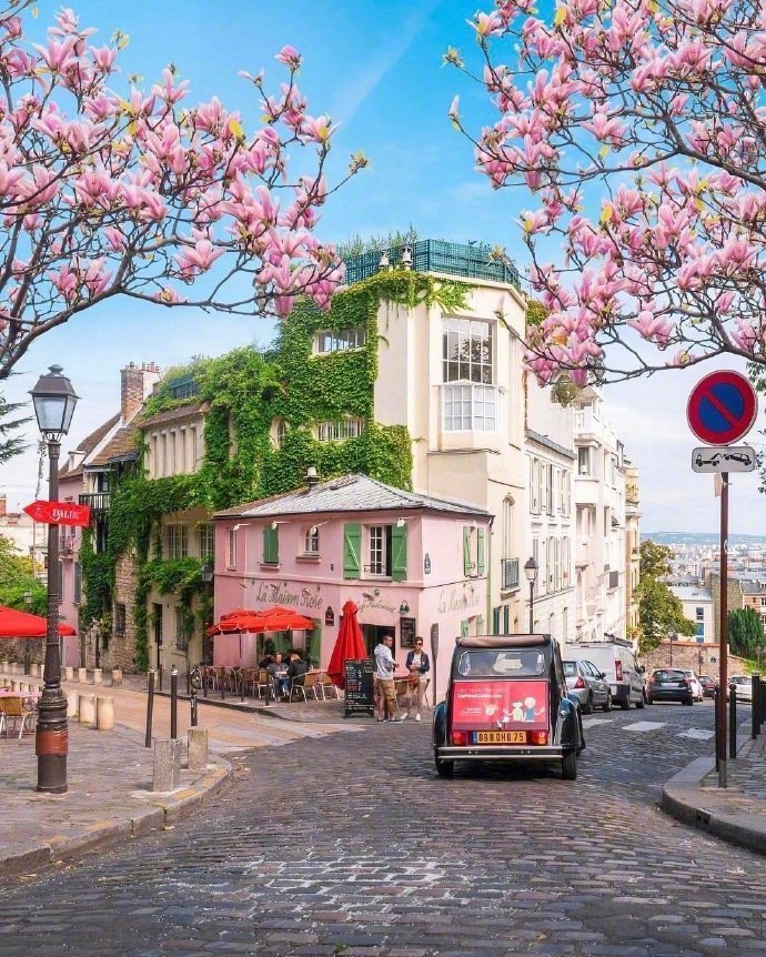 想和ta去看看巴黎春天的景色图片 5