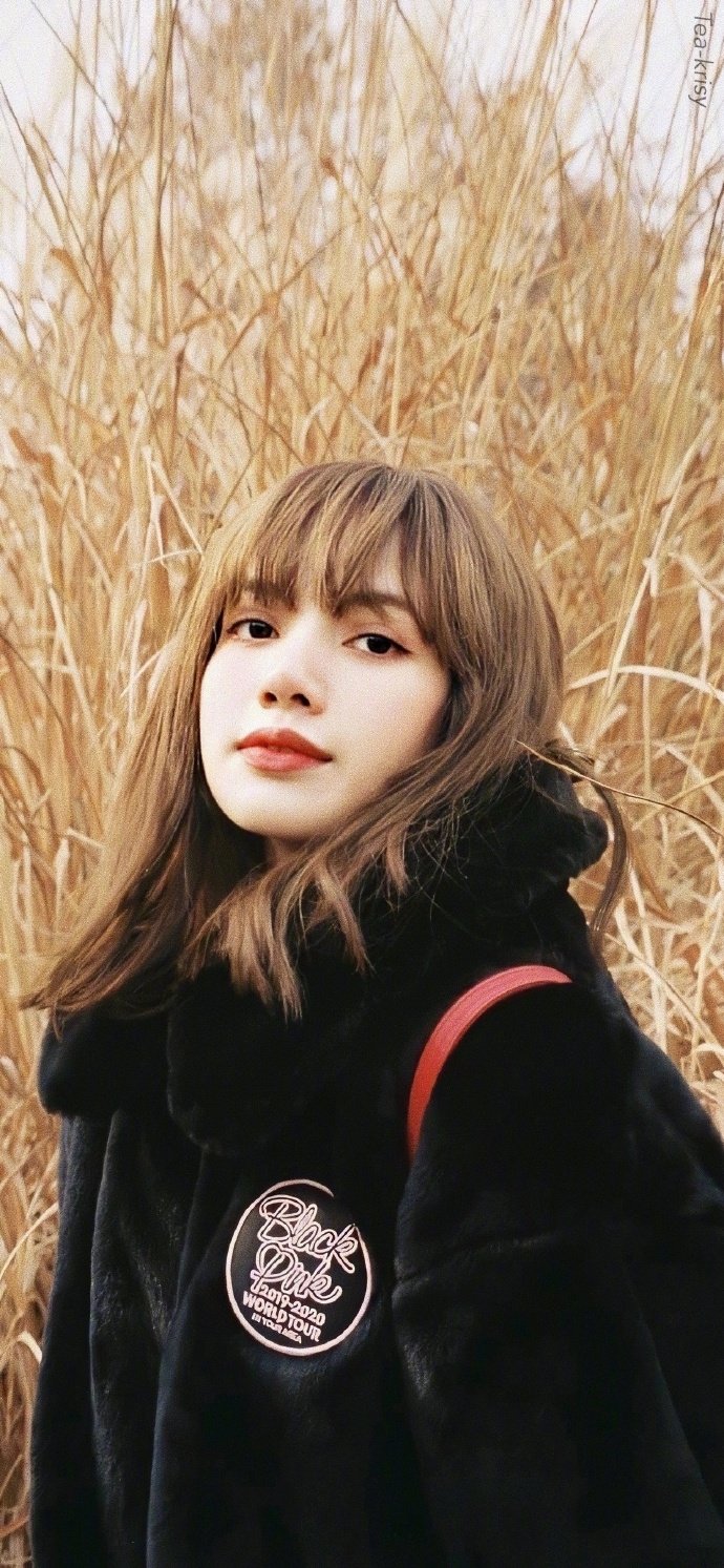 行走的人间芭比泰国美女lisa高颜值好身材图片 4