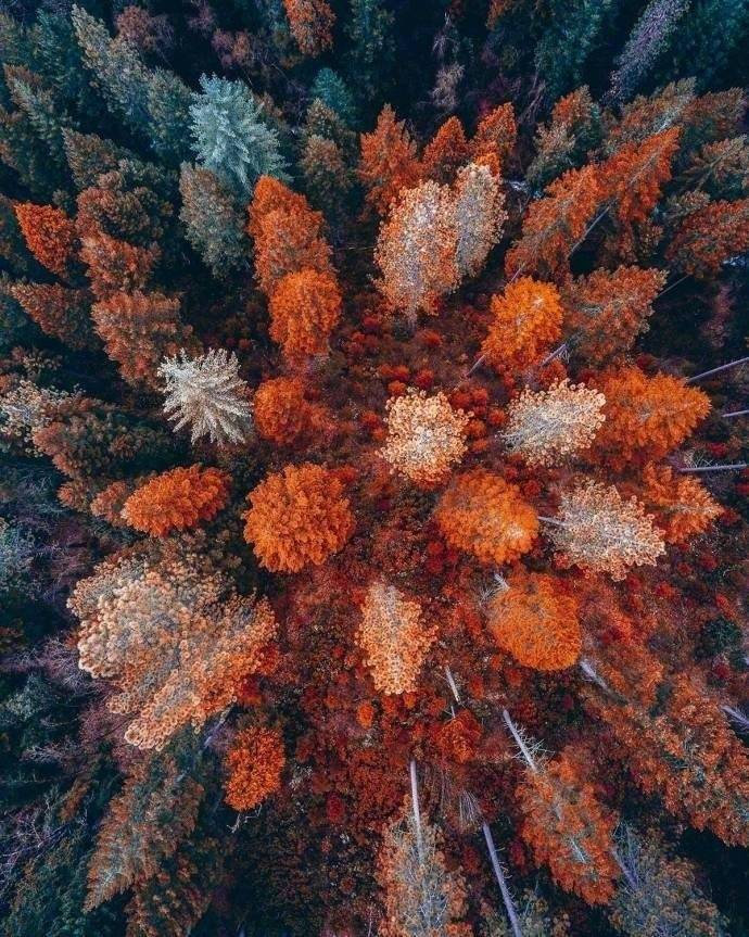 大自然风景图片 大自然才是最顶尖的配色师 ​​​​ 6