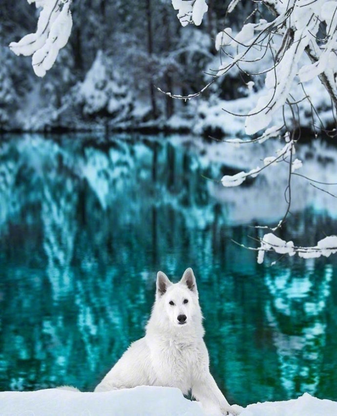 瑞士风景图片蓝湖美景图片 2