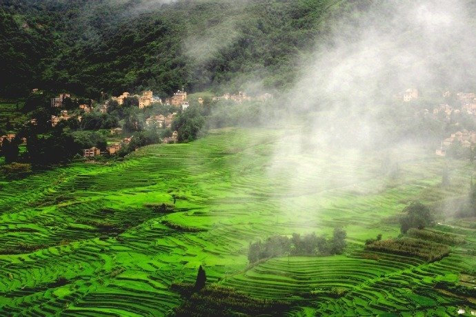 人间烟火气息唯美草地图片 8