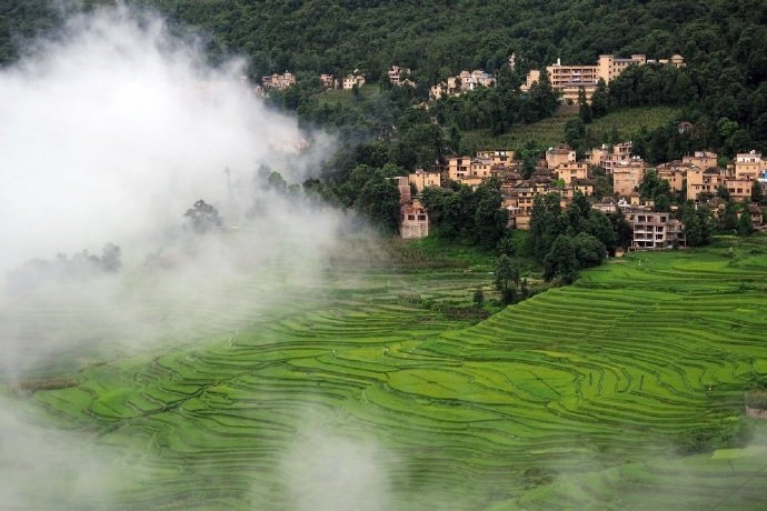 人间烟火气息唯美草地图片 9
