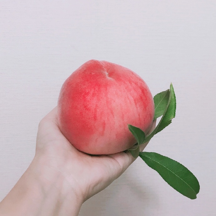 夏天到了,水蜜桃快成熟了 3