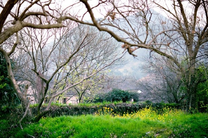 农村风景优美名胜风景图片 4