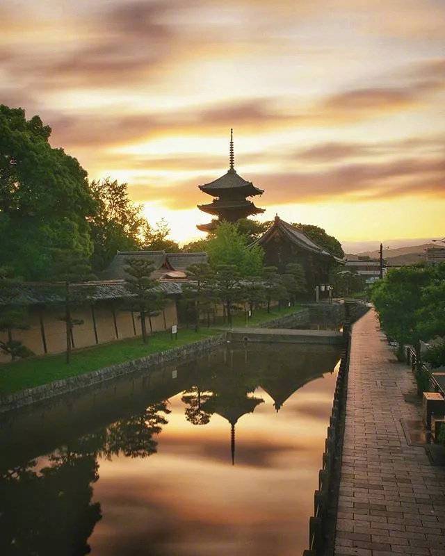 夏天的日本京都梦幻花园大自然美景