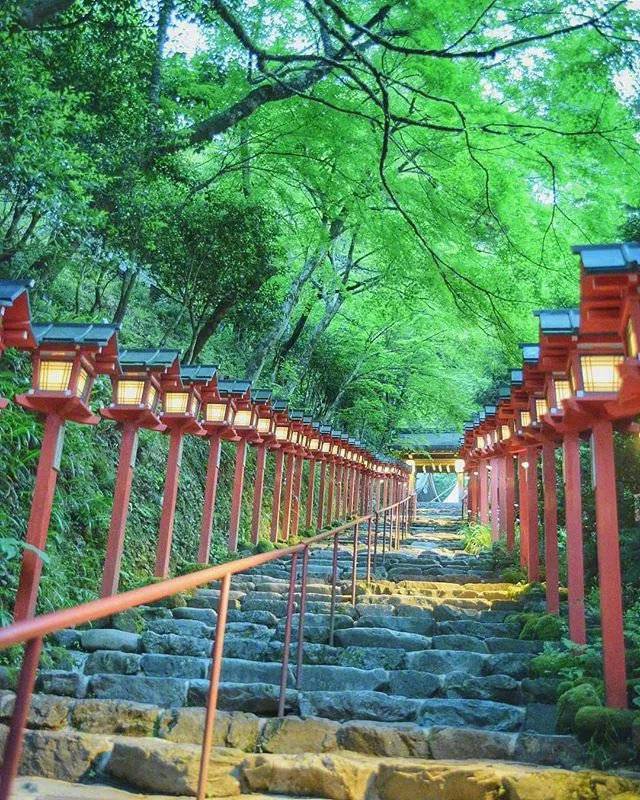 夏天的日本京都梦幻花园大自然美景 2