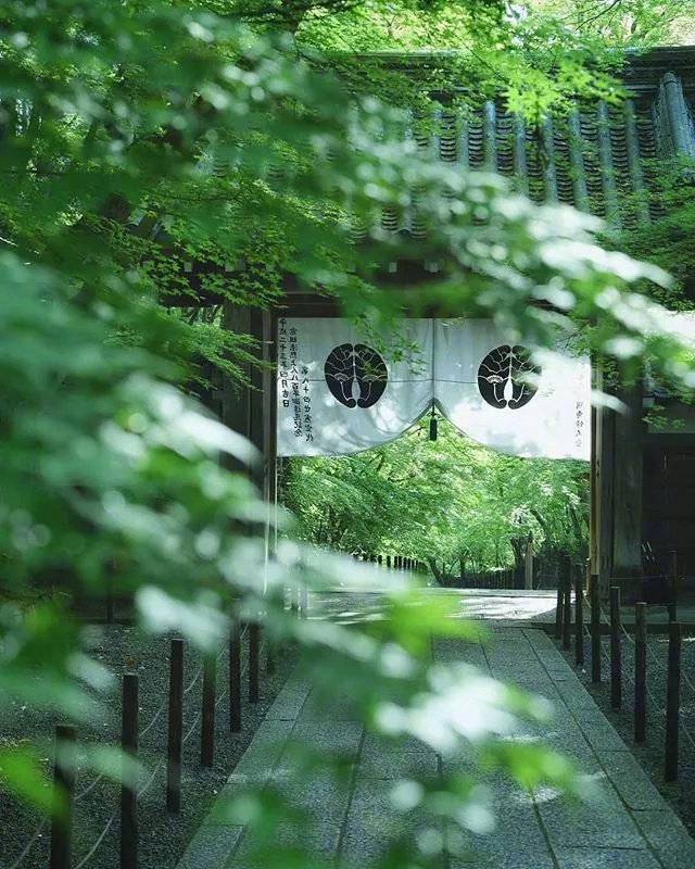 夏天的日本京都梦幻花园大自然美景 3