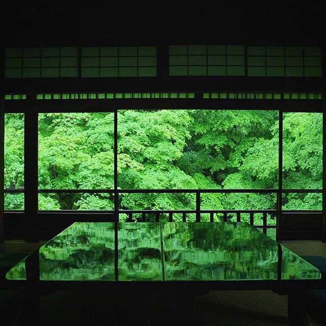 夏天的日本京都梦幻花园大自然美景 8