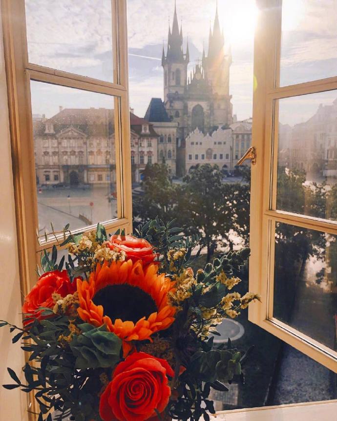 Prague Castle捷克布拉格唯美鲜花图片 6