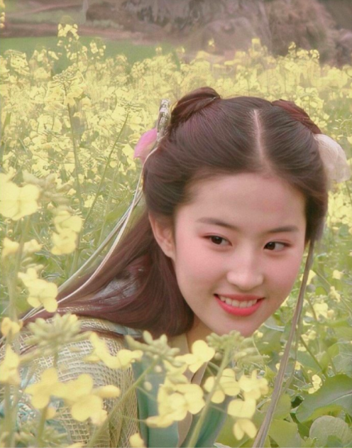 古装美女最美女星刘亦菲图片 4