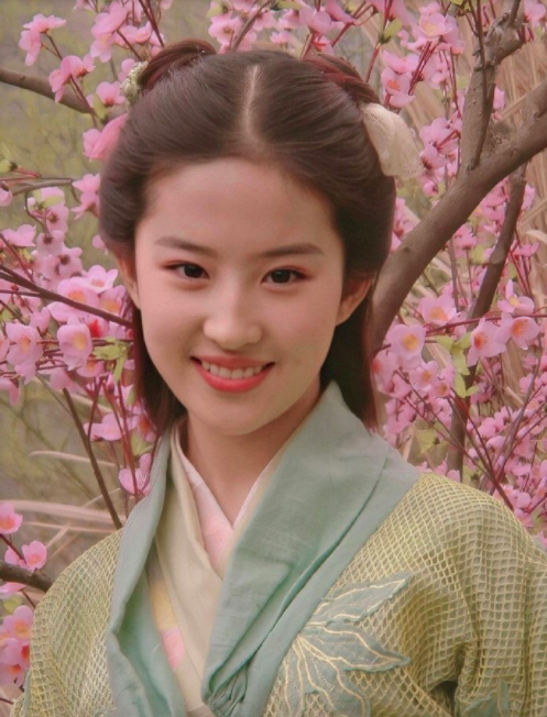 古装美女最美女星刘亦菲图片 5